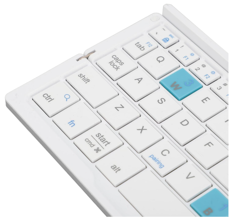 日本で大人気！Tokonoma™ No.1✨